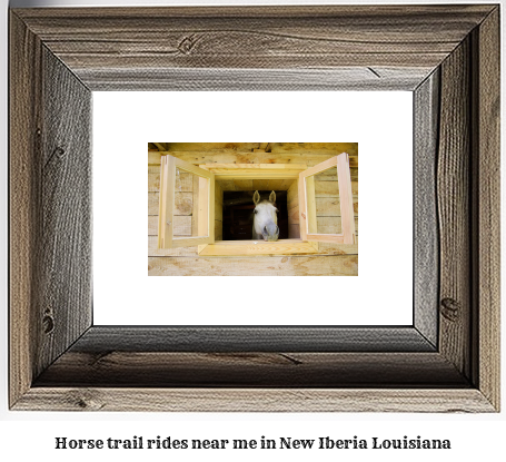 horse trail rides near me in New Iberia, Louisiana